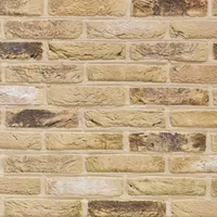 Cărămida Arces Corn Geel