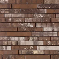 Cărămida Archipolis Barn Bruin