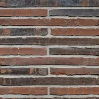 Cărămida Wasserstrich Special E1