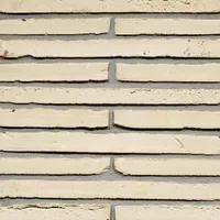 Cărămida Wasserstrich Special Ecru